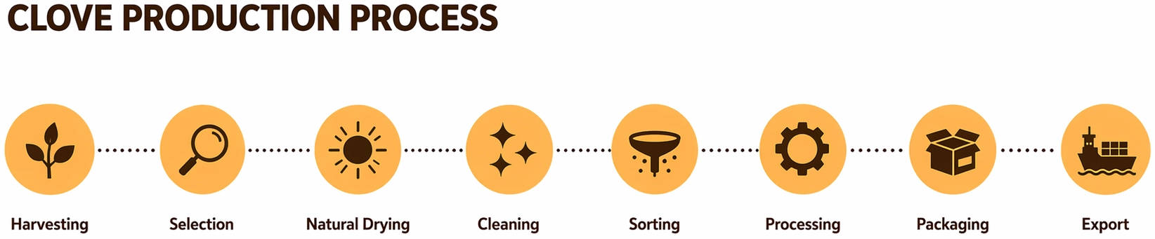 A professional infographic titled 'Clove Production Process' illustrating 8 key stages: Harvesting, Selection, Natural Drying, Cleaning, Sorting, Processing, Packaging, and Export.