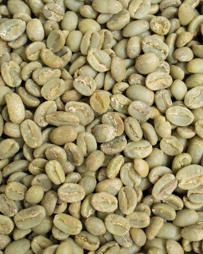 A top-down, high-resolution close-up shot of a dense pile of raw, unroasted green coffee beans, showcasing their natural texture and pale green color.