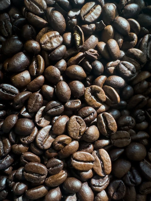 A close-up photograph of whole, medium-dark roasted coffee beans with a rich brown color and some oil sheen, illuminated by dramatic natural lighting creating deep shadows and bright highlights across their textured surfaces.